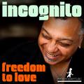 Freedom To Love (Incl. Reel People Mixes)