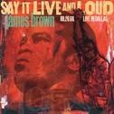 Say It Live And Loud: Live In Dallas 08.26.68 (Expanded Edition)专辑