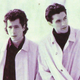 The Dolphin Brothers