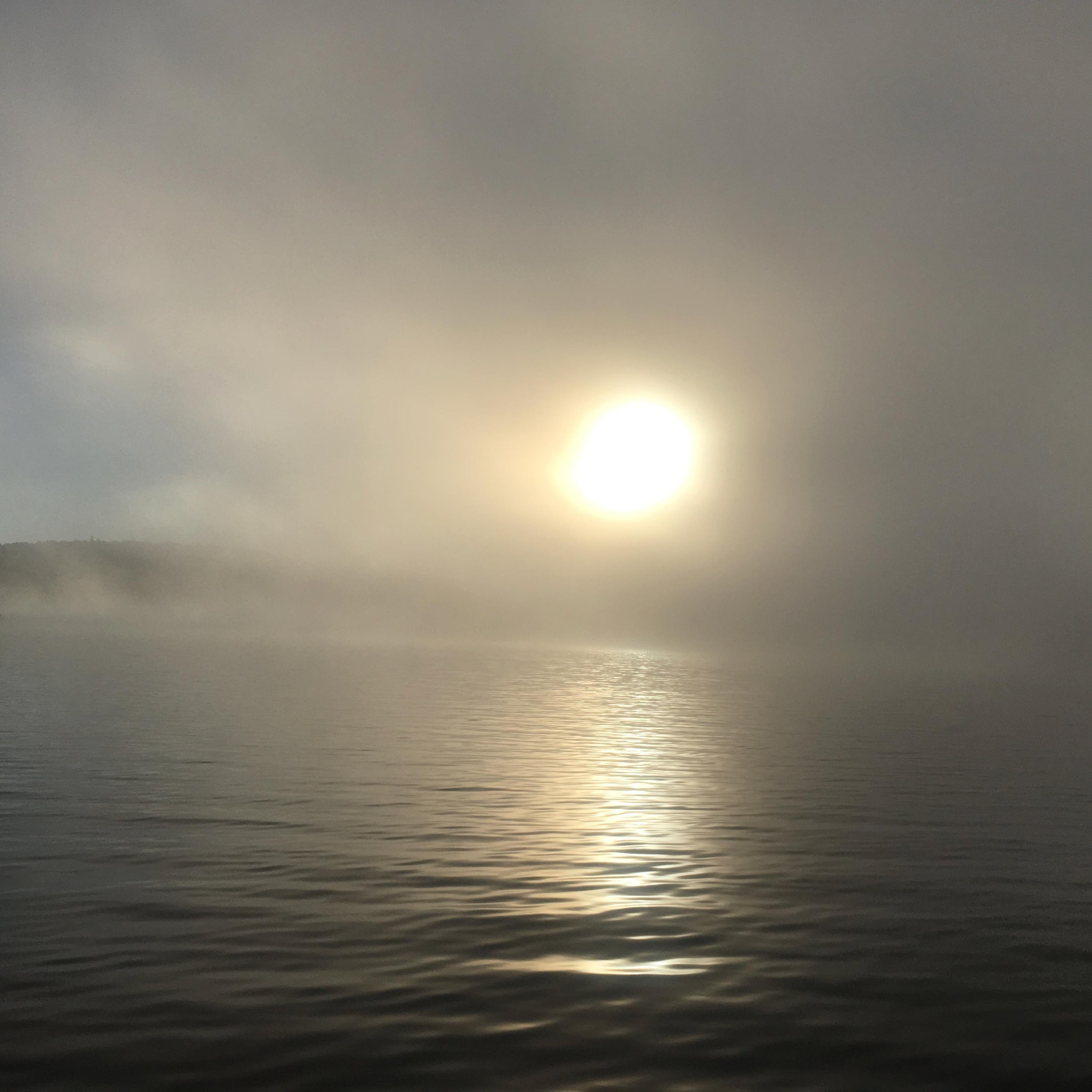 Morning Ambiance
