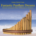 Fantastic Panflute Dreams专辑