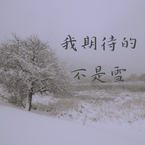 专辑《我期待的不是雪》