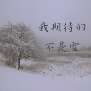 我期待的不是雪