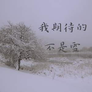 张妙格 - 我期待的不是雪(而是有你的冬天)(DJ阿卓版) （降2半音）