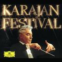 Karajan Festival专辑