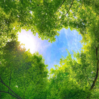 治愈轻快的轻音乐：开启活力乐章