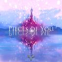 Pieces of You, Pieces of Me (feat. Felicia Farerre)专辑