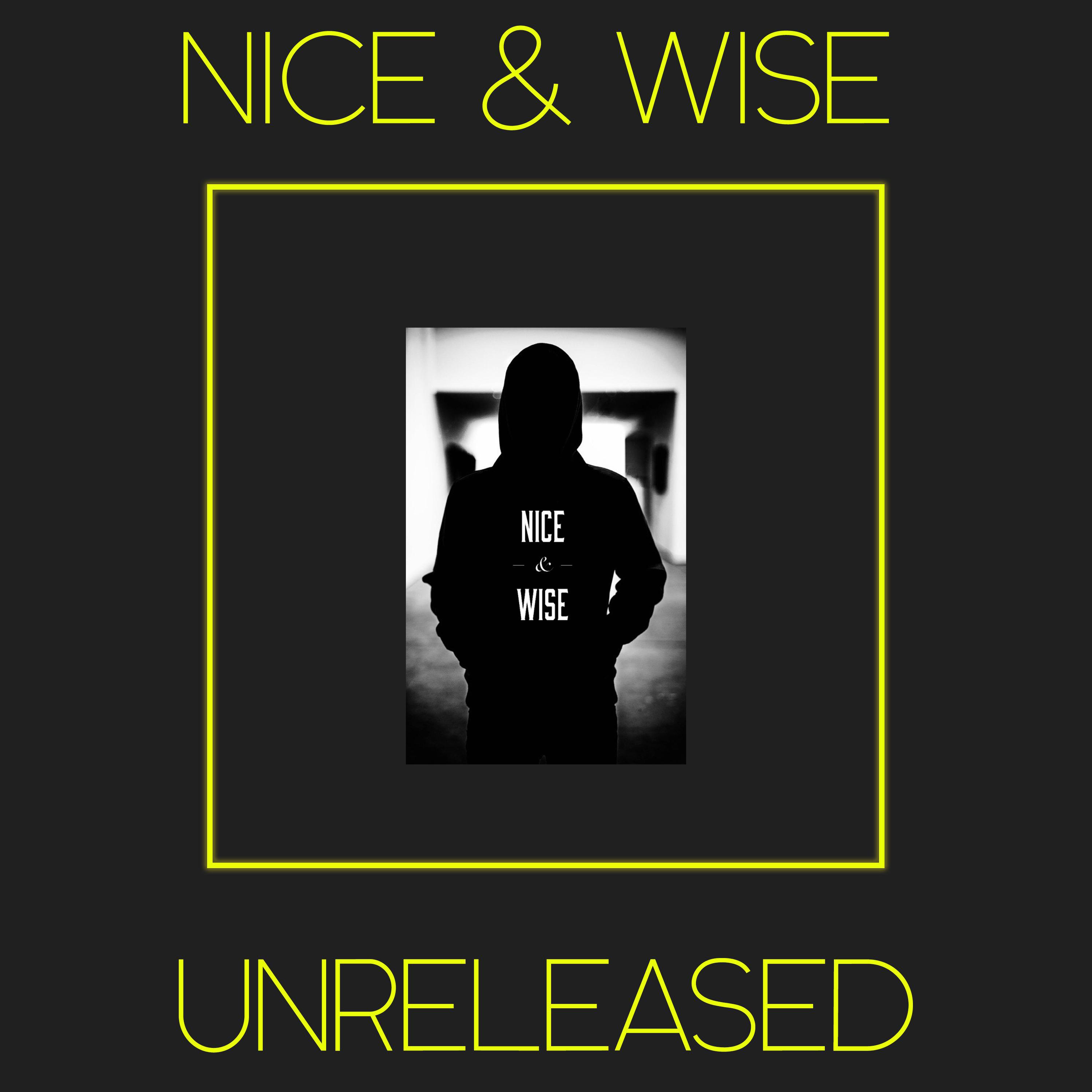 Nice & Wise - HOUSE TRAIN (2016)