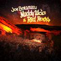 Muddy Wolf At Red Rocks (Live)专辑