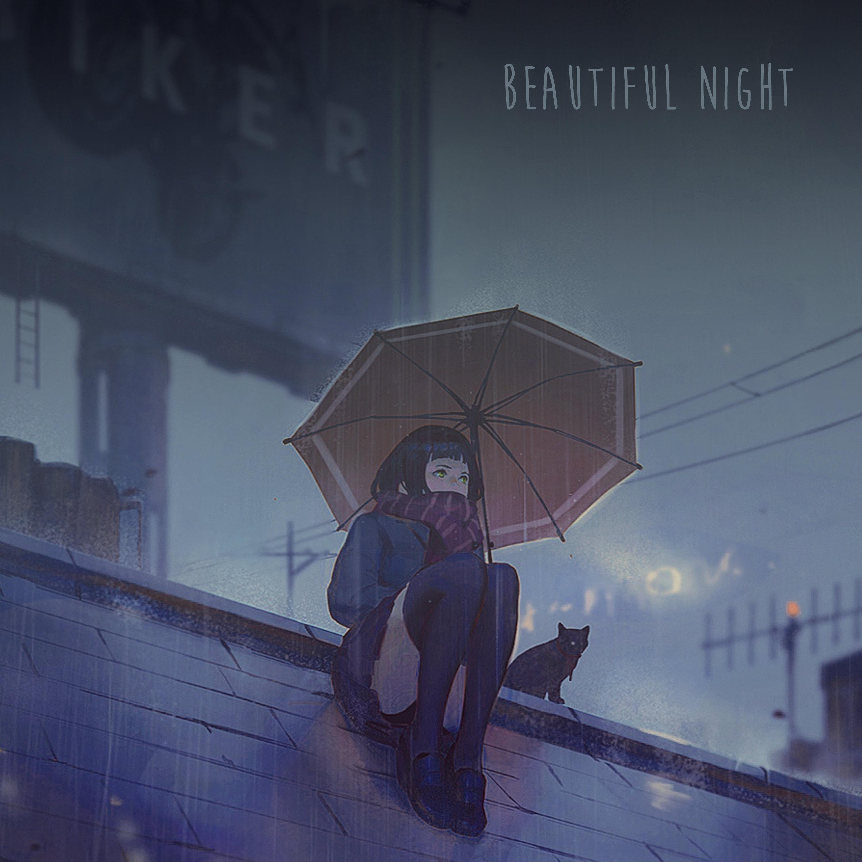 Beautiful Night