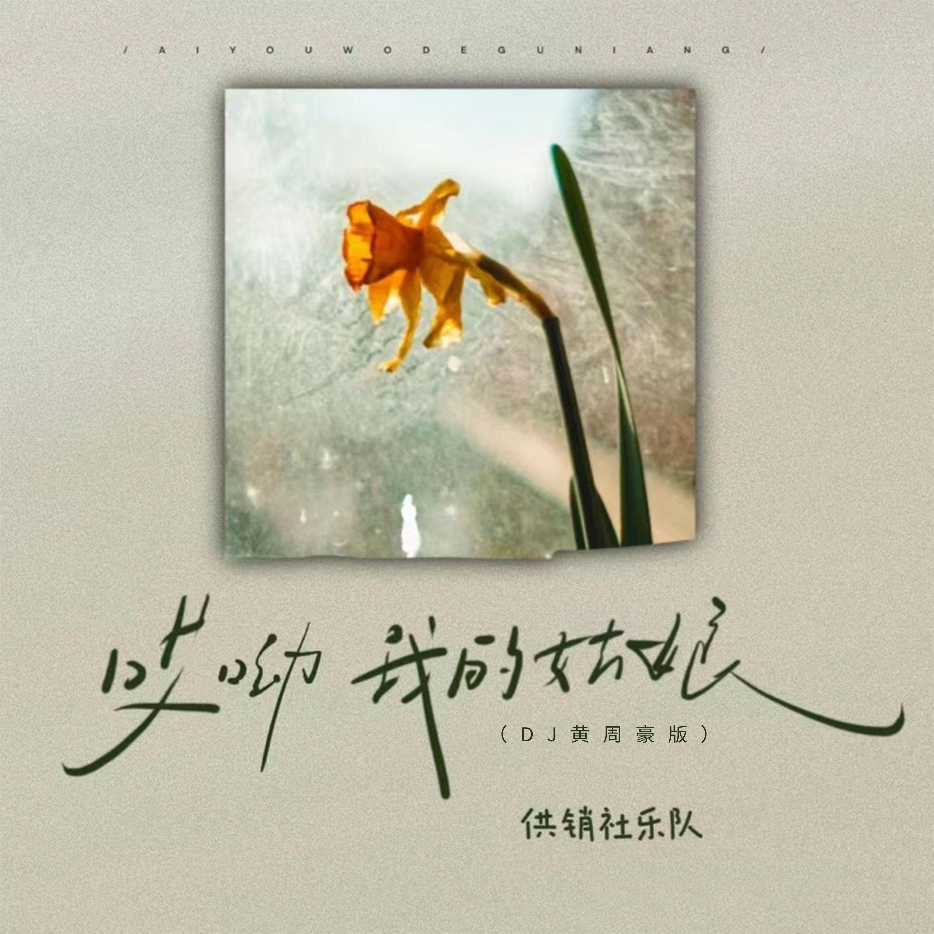 哎呦我的姑娘(DJ黄周豪版)
