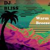 DJ Bliss - Warm Breeze