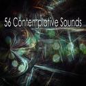 56 Contemplative Sounds专辑