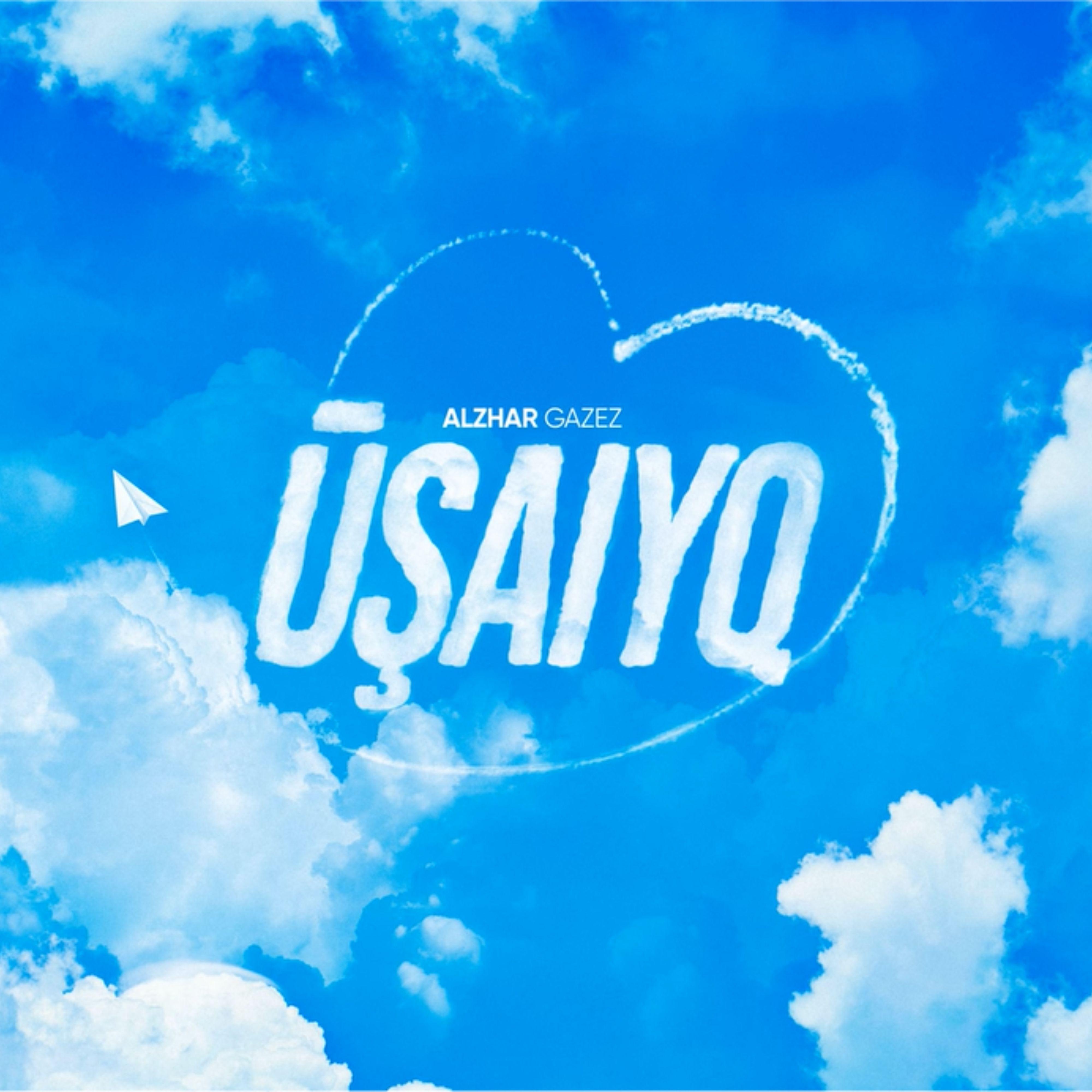 USAIYQ
