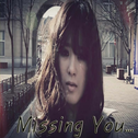 Missing You专辑