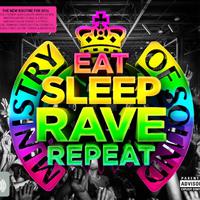 Eat Sleep Rave Repeat (The Bedroom Producers Remix)