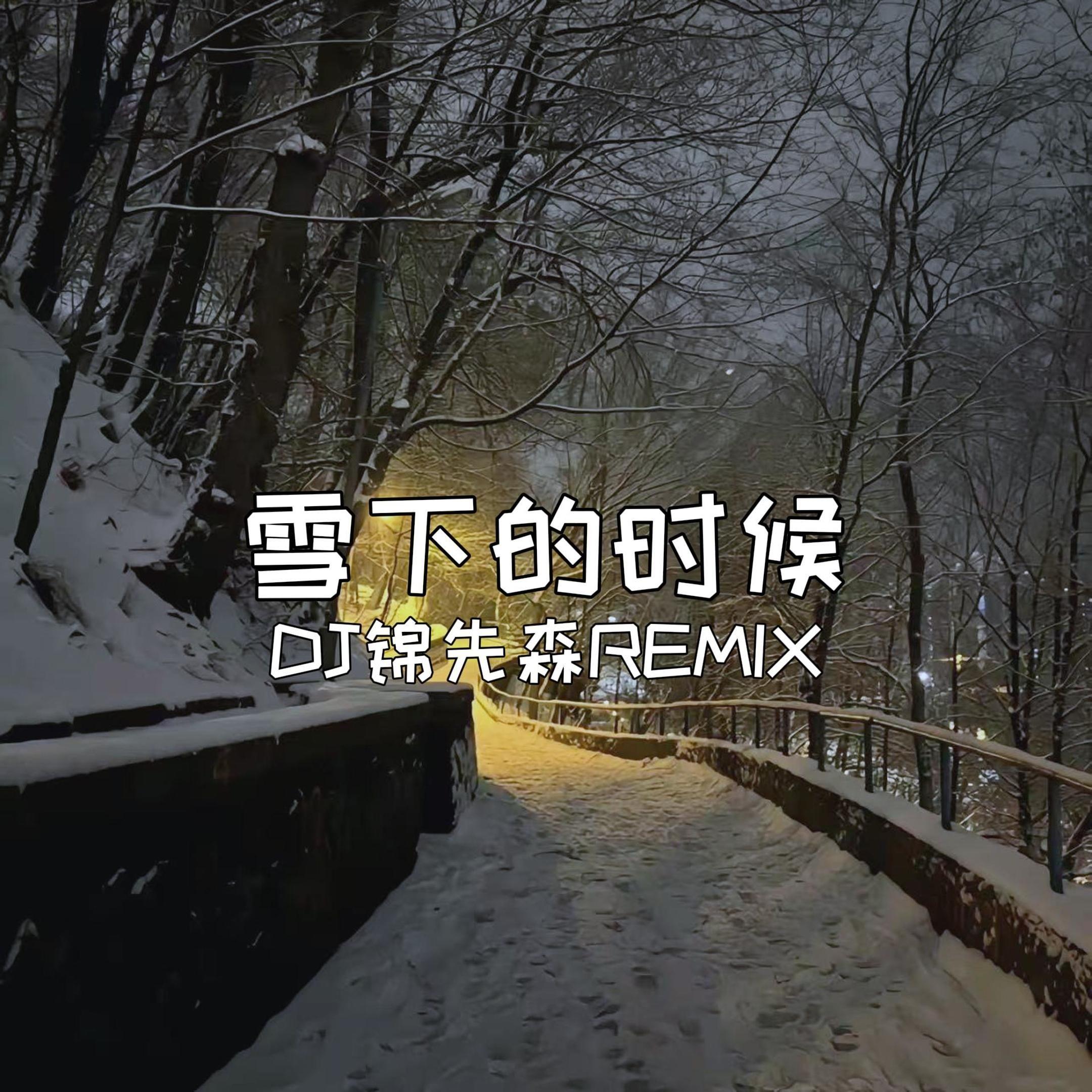 雪下的时候（DJ锦先森 Remix）