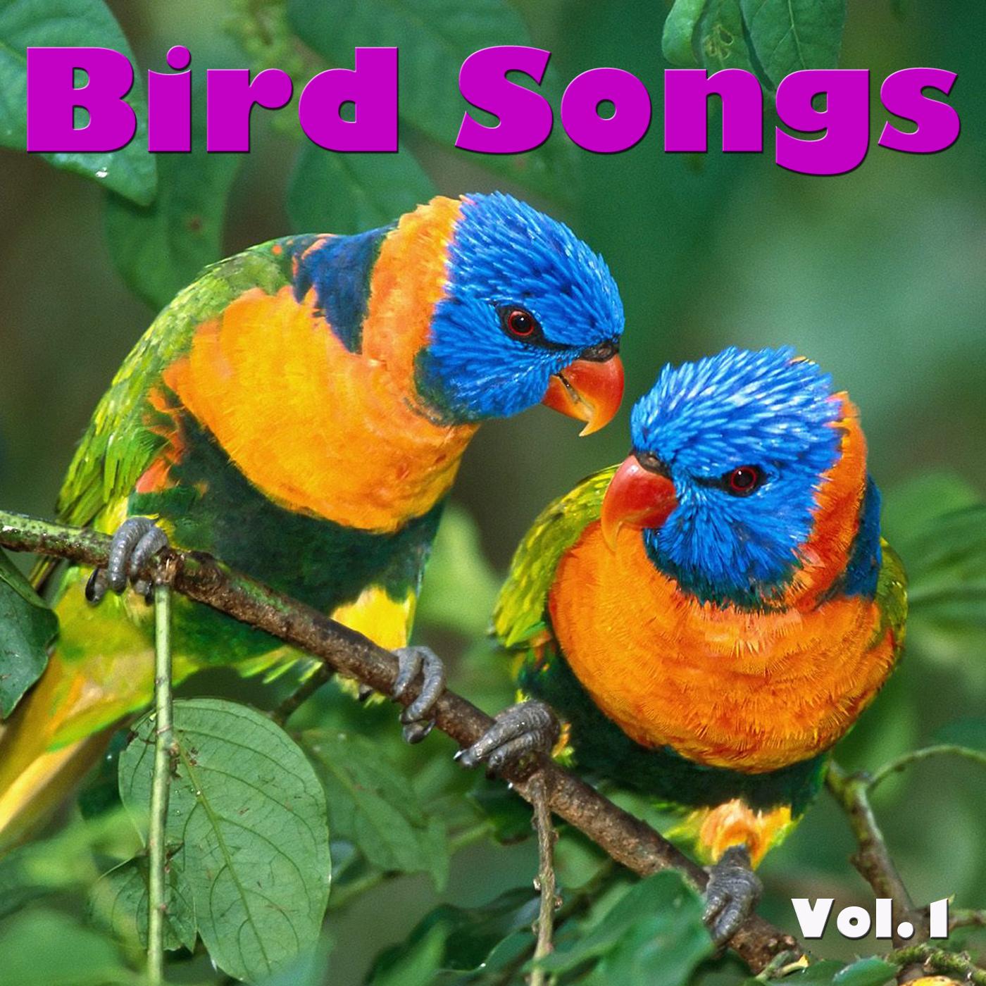 Bird Songs, Vol. 1