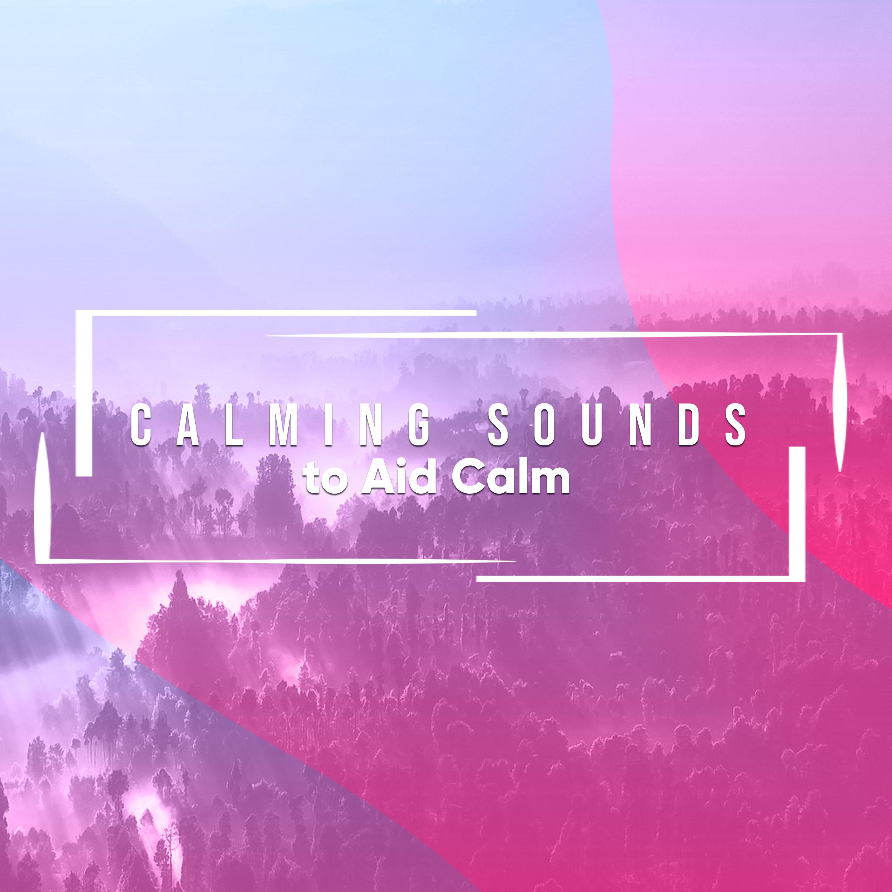 20 Naturally Calming Sounds to Aid Calm and Relaxation专辑