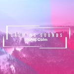 20 Naturally Calming Sounds to Aid Calm and Relaxation专辑