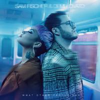 What Other People Say - Sam Fischer & Demi Lovato (VS karaoke) 带和声伴奏
