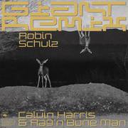 Giant (Robin Schulz Extended Remix)