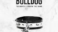 Bulldog专辑