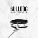 Bulldog专辑