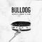 Bulldog专辑