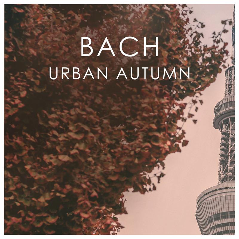 Bach Urban Autumn