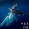 双鱼座