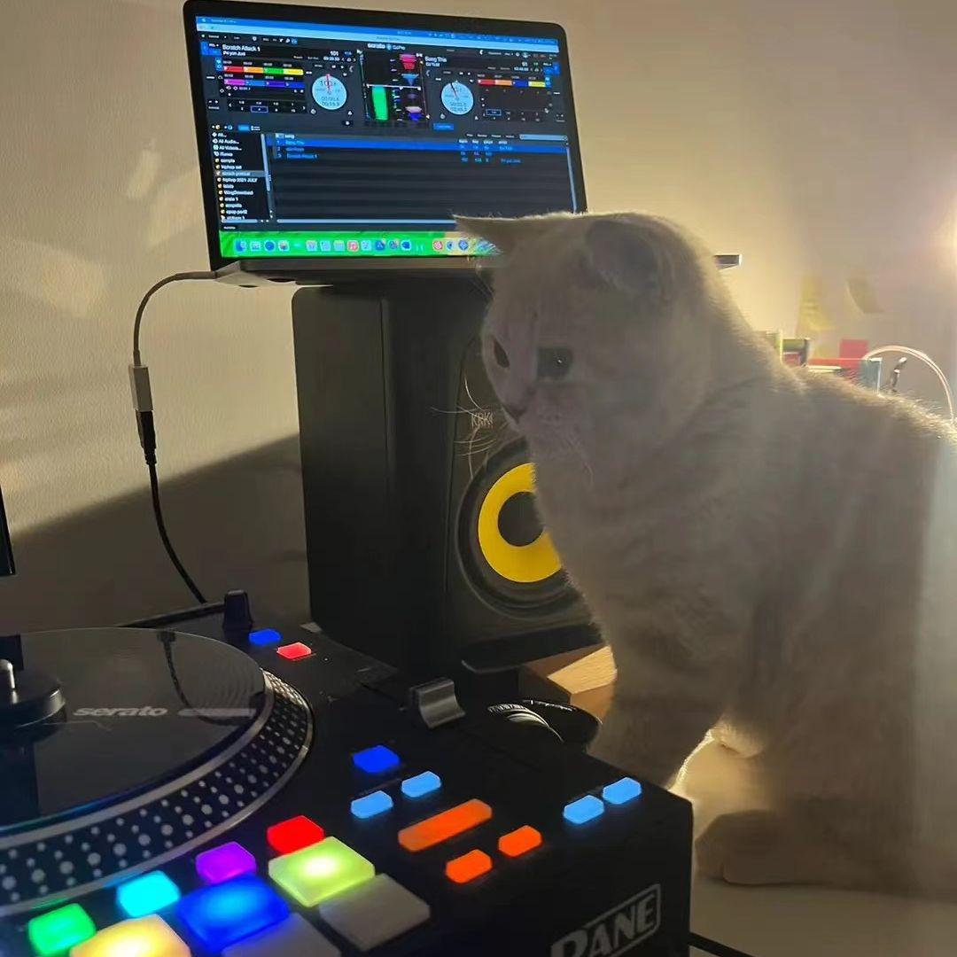 EneRcii ReMix