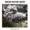 Bright Sky Nature Music Library - Morning Waves Reflections