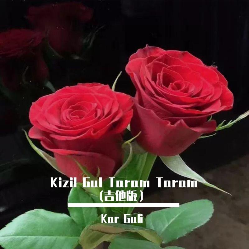 Kizil Gul Taram Taram (吉他版）