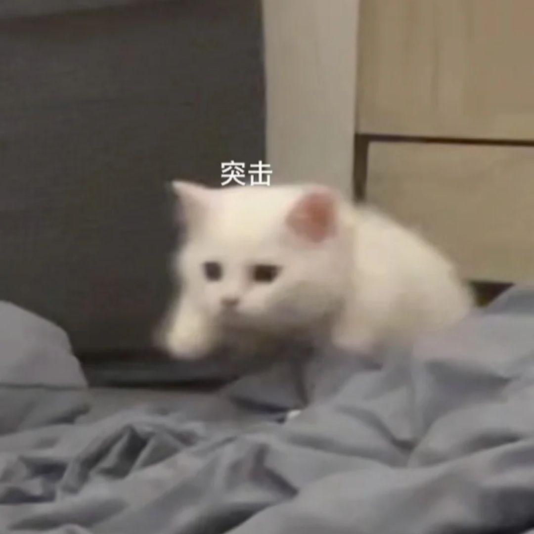 你一出现（cover刘大拿）