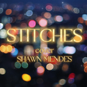 STITCHES