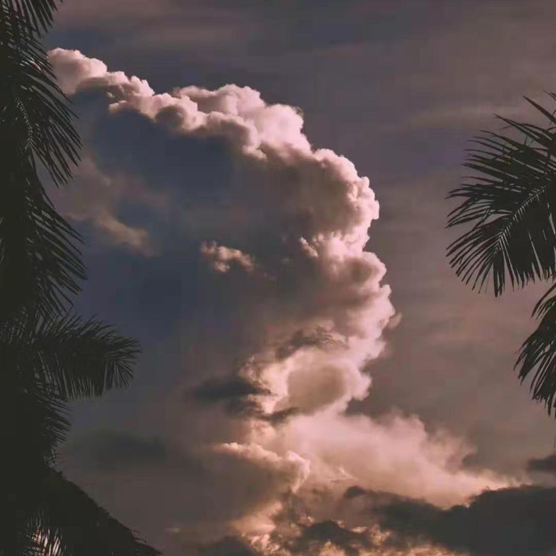 溯（一纸鸢歌）