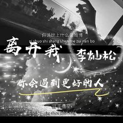 郭聪明-离开我你会遇见更好的人(DJ版)（李灿松 remix）