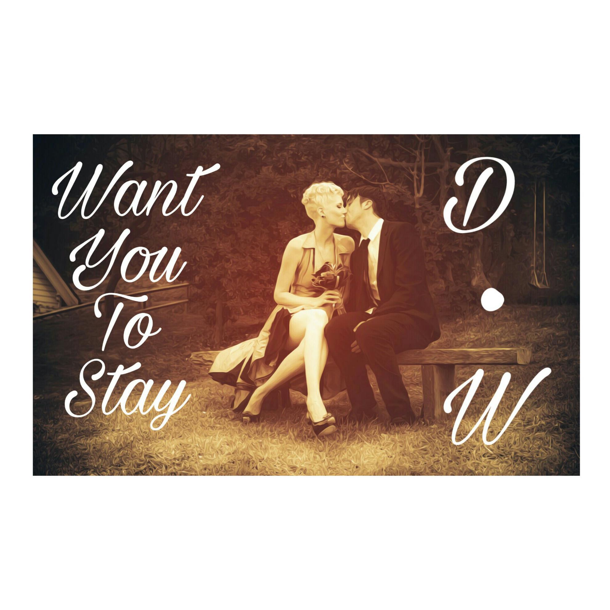 Want You To Stay (VIP)专辑