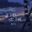 忘了你忘了我 (女声版)