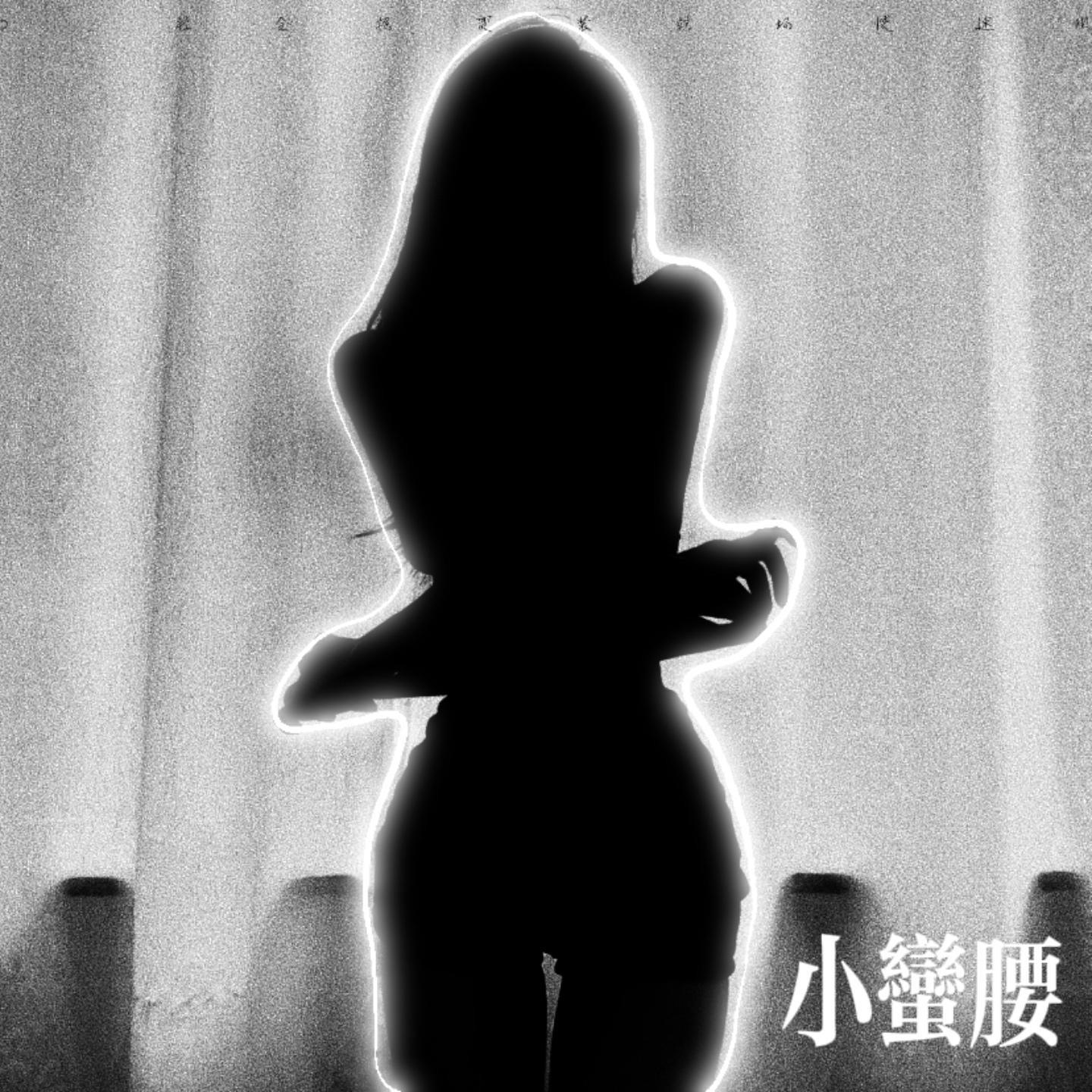 小蛮腰 (Dj社会摇变装转场慢速版)