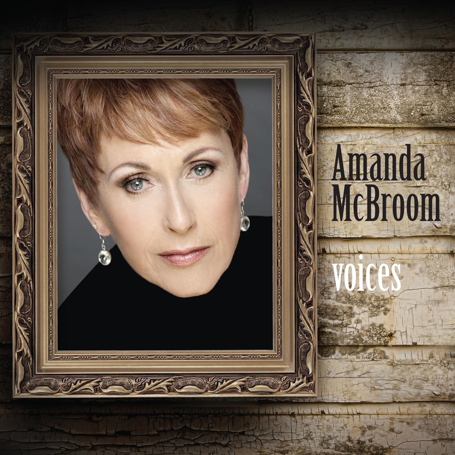 Amanda McBroom - Make a Memory