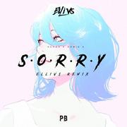 SORRY（Ellivs Remix）