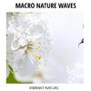 Wave of Bliss Ocean Music - Fresh Nature Water