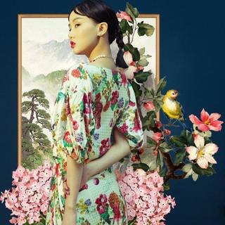 泼墨画卷| 小巷深檐铃浅，梦里入江南