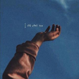 夏夜凉曲丨chill咪咪的轻风