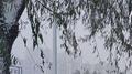 有 空 一 起 去 看 雪专辑