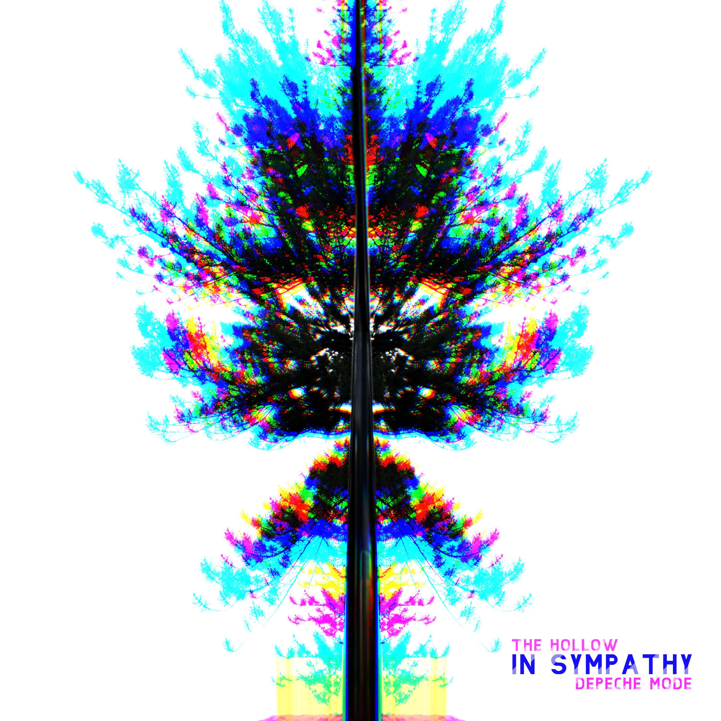 In Sympathy