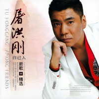 自己人 新歌+精选