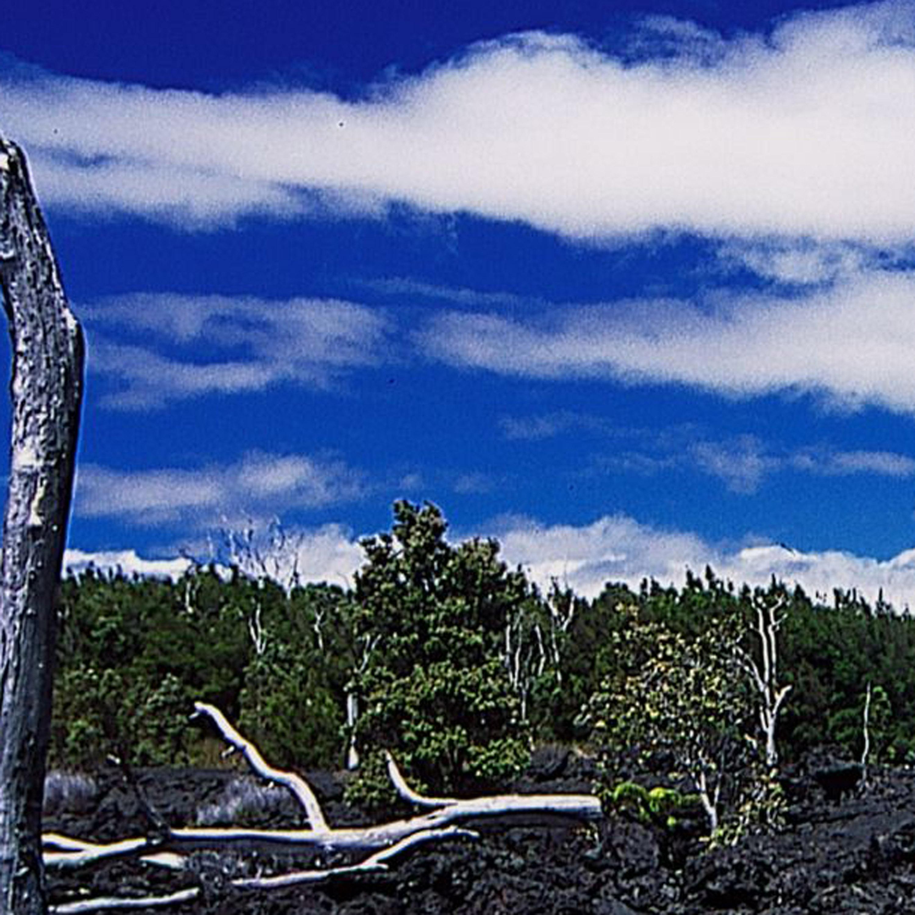 如果不是亲眼所见